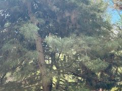 -仁和公园(顺义区)
