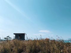 -海堤纪念公园