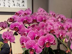 -明州小宴(文化广场店)