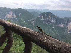 -重庆云阳龙缸景区