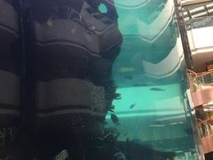 -OPEN開全日自助餐厅·西餐·海鲜(佛山希尔顿酒店)
