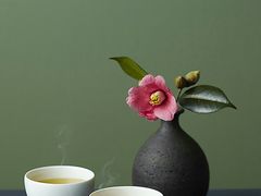 -麦当劳(开平潭江店)