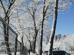 -辽宁大学(崇山校区)