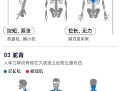 -Dr.stretch·拉伸博士(环球金融中心店)