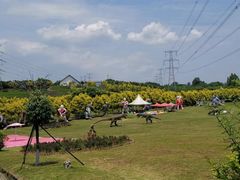 -紫颐香薰山谷景区