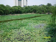 -紫竹院公园冰场