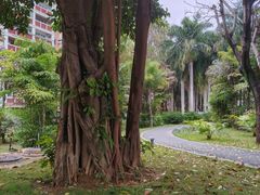 -华侨公园