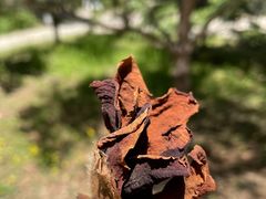 -周口店北京人遗址公园