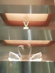 -苑苑vbeauty科技美容SPA