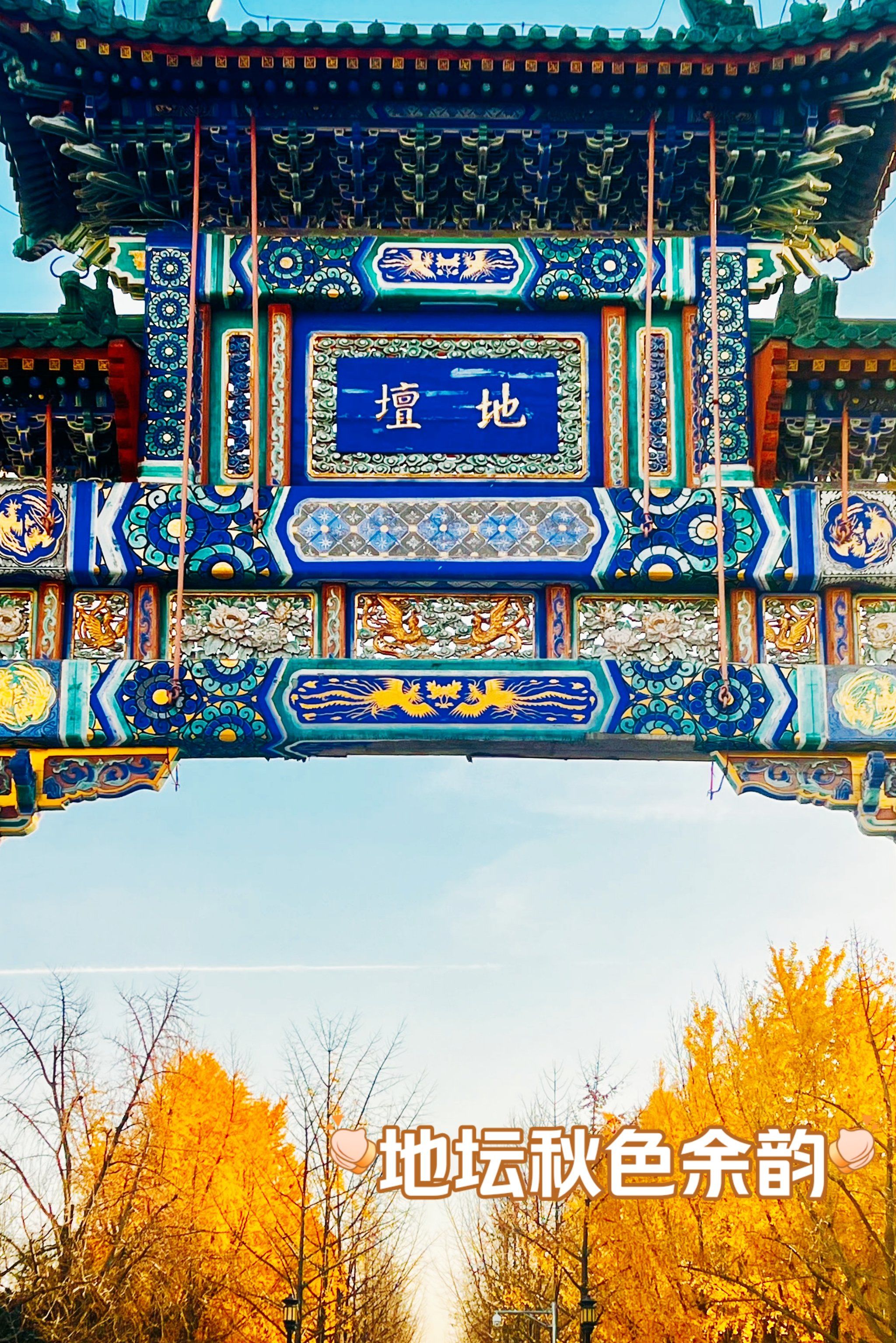 地坛秋色进去尾声,大家抓紧啦
