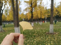 -重庆市江北嘴中央商务区中央公园