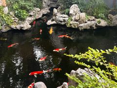 -鲤院·新中式美学·庭院餐厅(夫子庙店)