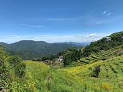 -永泰中国云顶