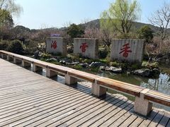 -香雪海
