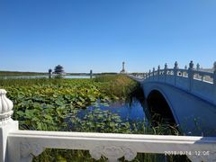-呼兰河口湿地公园