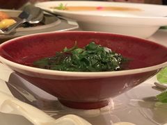 泉水时蔬-西郊5号·Maggie 5