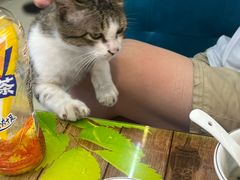 -鑫鸿达·海鲜闽菜热炒小馆(中山路店)
