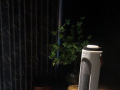 -华夏良子·足道SPA艾灸(金皇大厦店)