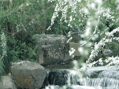 -中国茶叶博物馆(双峰馆区)