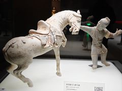 -龙门李家三旦羊肉汤馆