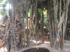 -龙达温泉生态城