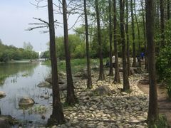 -新江湾城公园