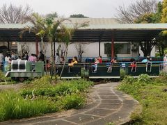 -广东花都香草世界旅游度假区