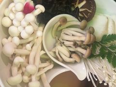 -洪氏嗨捞·广东猪肚鸡·椰子鸡火锅(西咸万象城店)