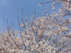 -北岭山森林公园