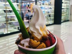 -Salud撒露欧洲冻酸奶(蓝色港湾店)