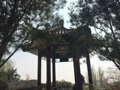 景点-丰台花园