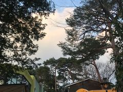 -三鹰之森吉卜力美术馆