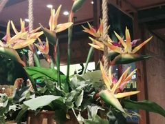 -云海肴云南菜·蒸汽石锅鱼(北京良乡华冠店)