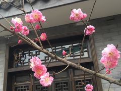 -亦缘居私家别院