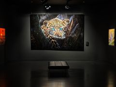 -罗红摄影艺术馆