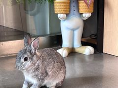 -雨林宠物医院 非犬猫异宠专科