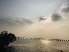 -宝安西湾红树林湿地公园