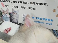 -海门爱心宠物医院