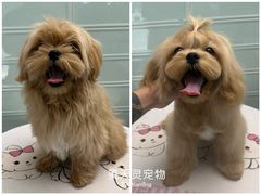 -FAELING PETS美天灵宠物(合生汇店)