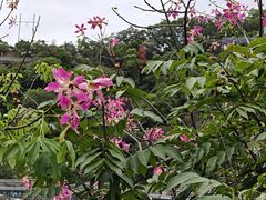 -福道