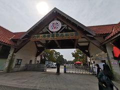 -上海海湾国家森林公园