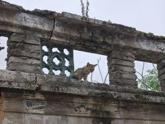 -老财炒饭·熟地蟹·冬瓜蟹