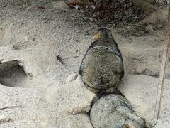 -云南野生动物园