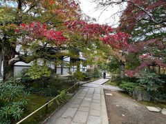-常寂光寺