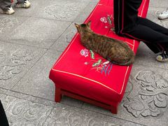 -龙华素斋(龙华路店)