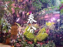-正佳雨林生态植物园
