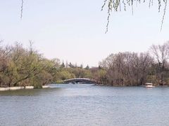 -莱西月湖公园