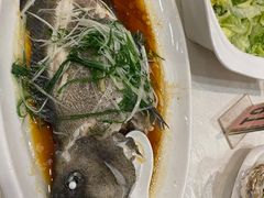 -大东海海鲜酒楼(渔人码头总店)