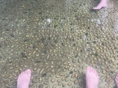 -融汇温泉