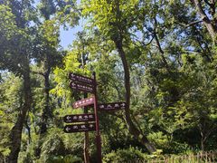 -岳麓山风景名胜区